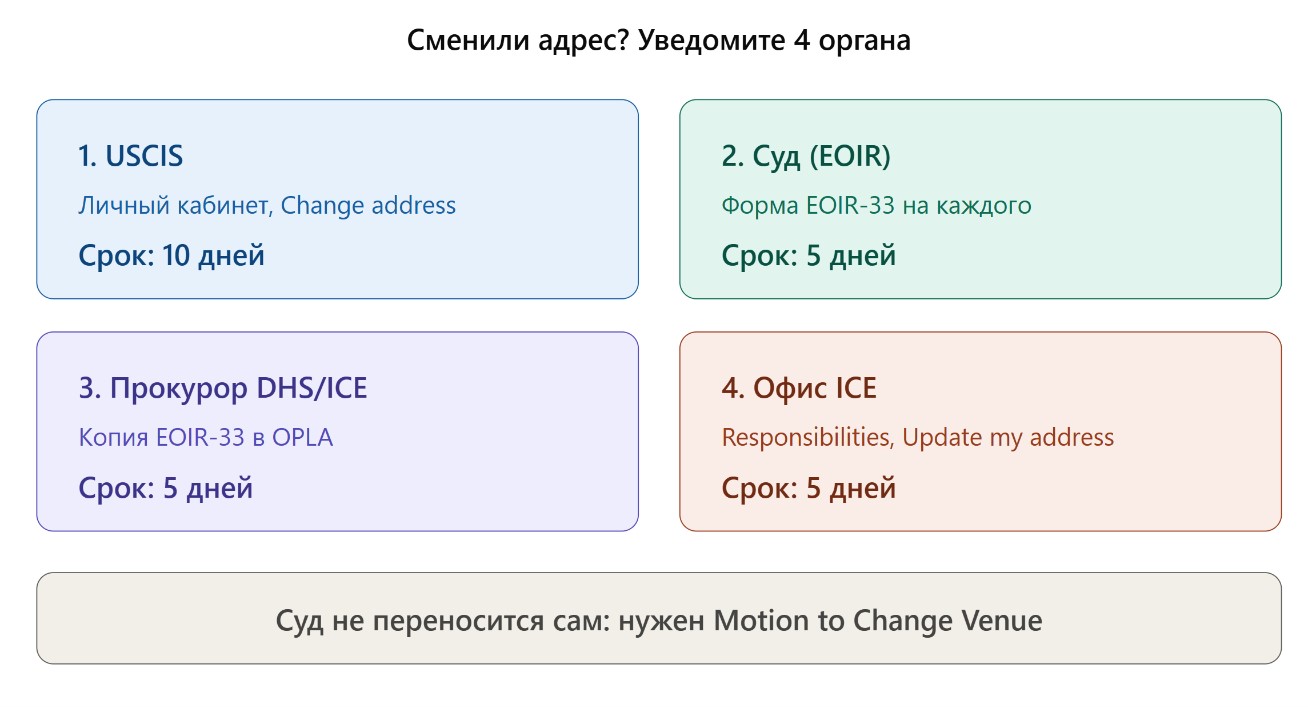 Как оповестить суд, ICE и USCIS об изменении адреса?